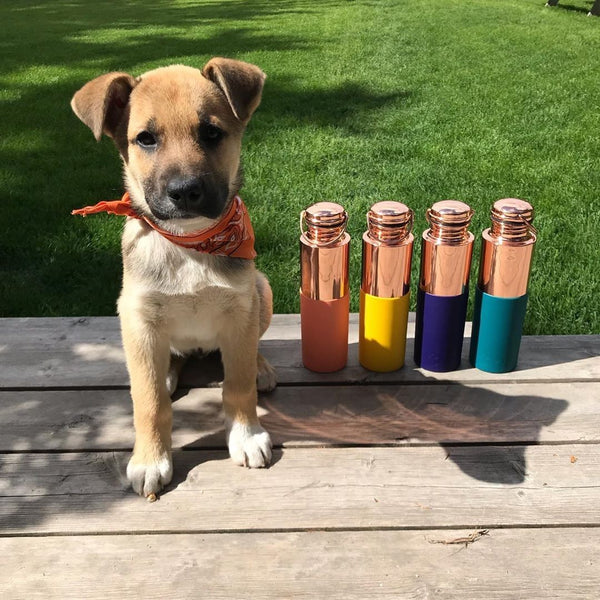 Why everyone is switching to copper bottles